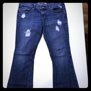 Hollister jeans